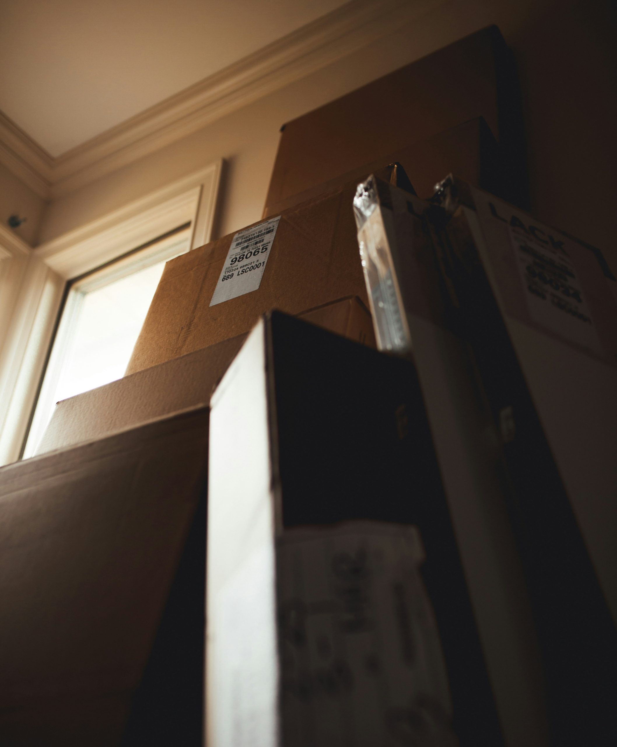 professional movers